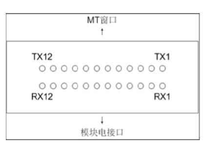 FTGA-12 光接口
