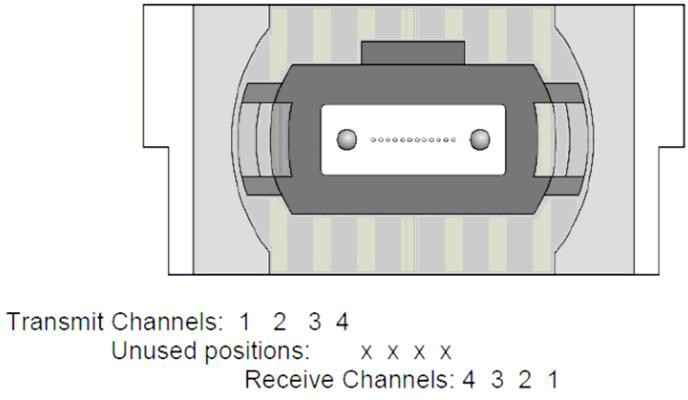 FTQ2-HG-SR4I Optical Interface Lanes