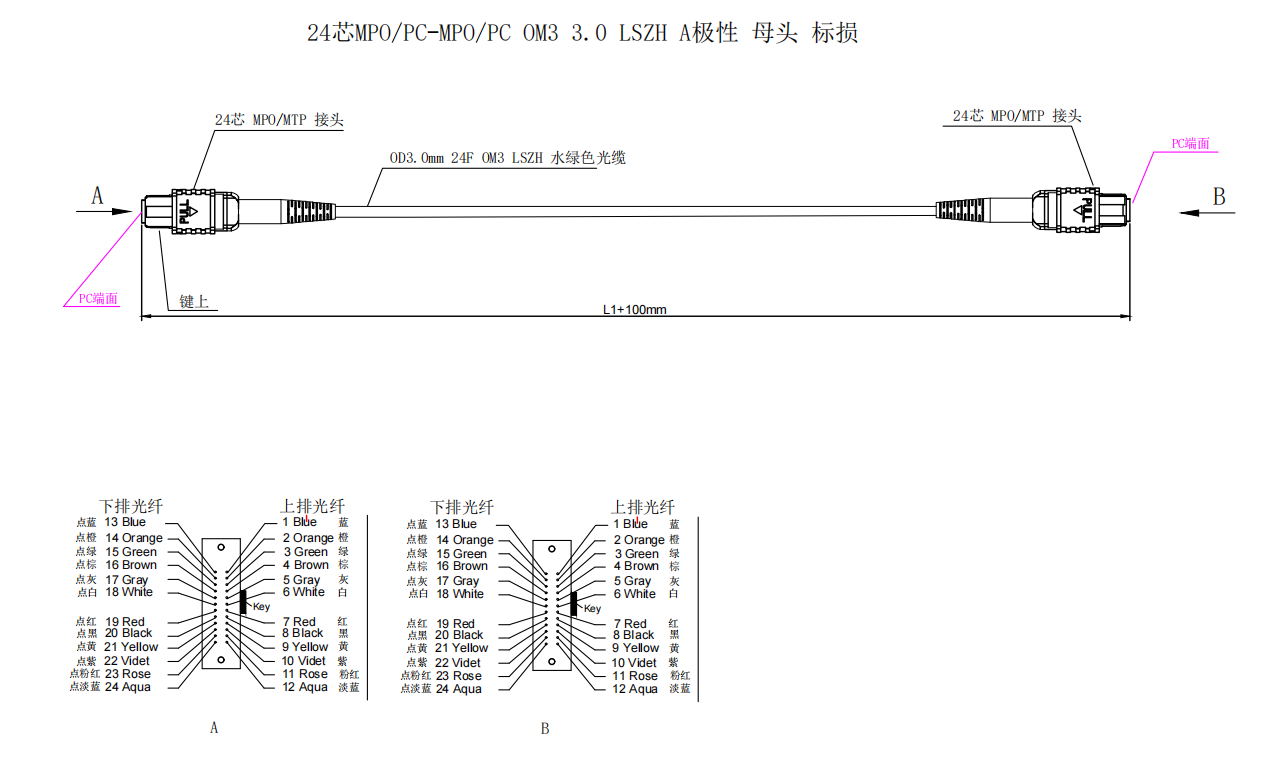 24芯MPO/PC-MPO/PC光纤跳线结构图
